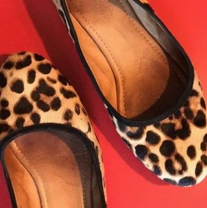 Madewell The Reid Ballet Flat in Leopard Calf Hair
